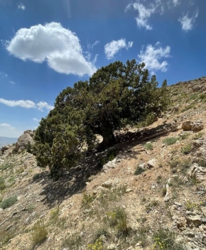 روستای آینه ورزان دماوند