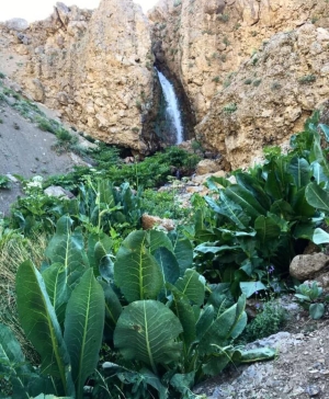 روستای آینه ورزان دماوند