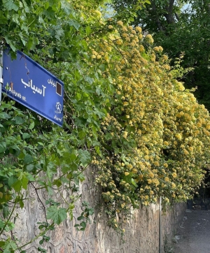 روستای آینه ورزان دماوند